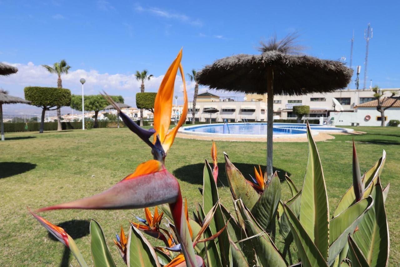 053 - Altomar II 003 - comfortHOLIDAYS Gran Alacant Exterior foto